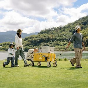 Xe kéo gấp gọn có thể mở rộng Wagon Naturehike CNK2450JJ017